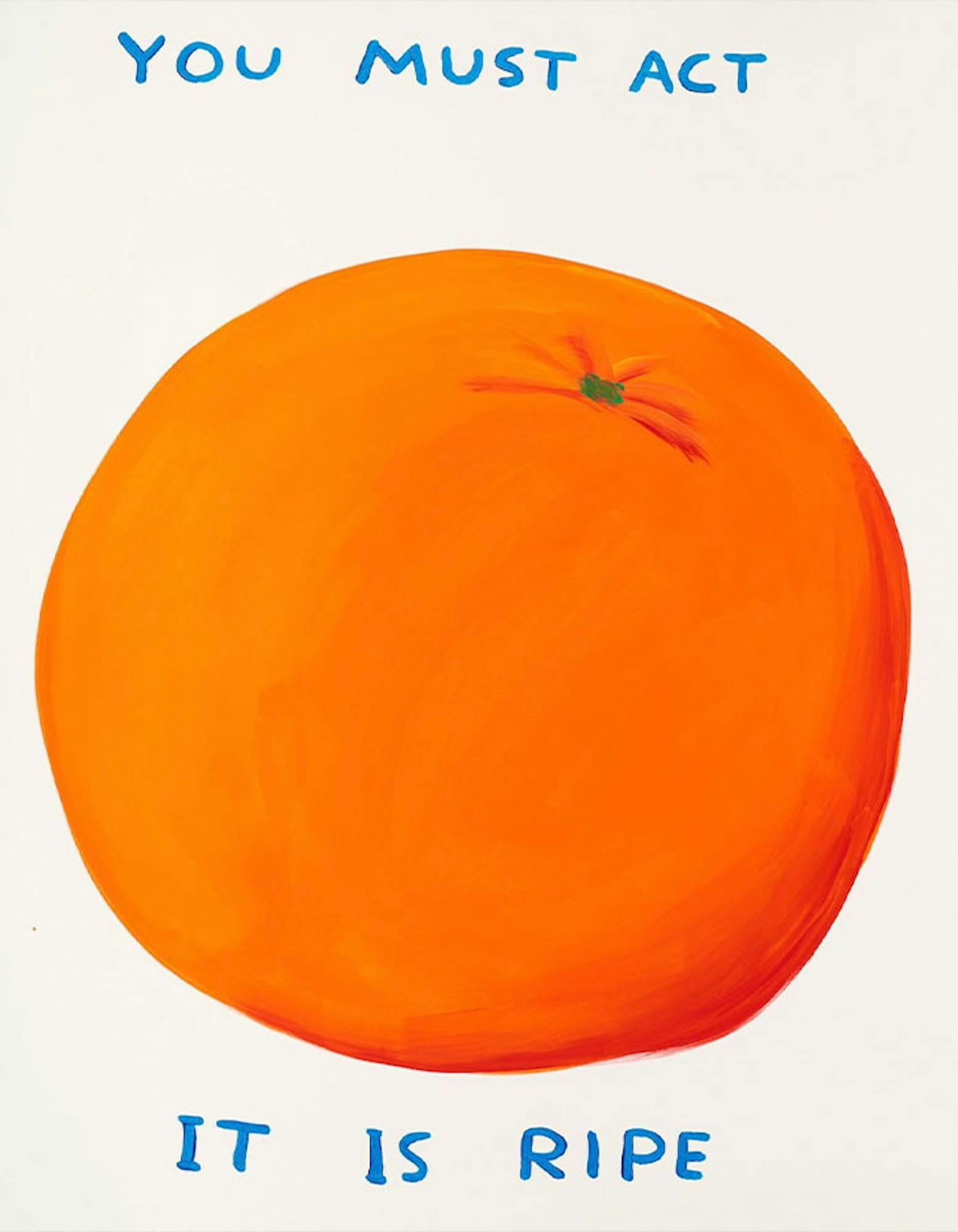 David Shrigley orange art