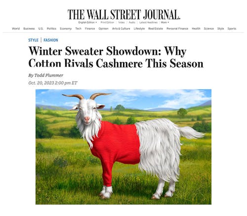 The Wall Street Journal featuring KULE cotton Matey sweater for winter